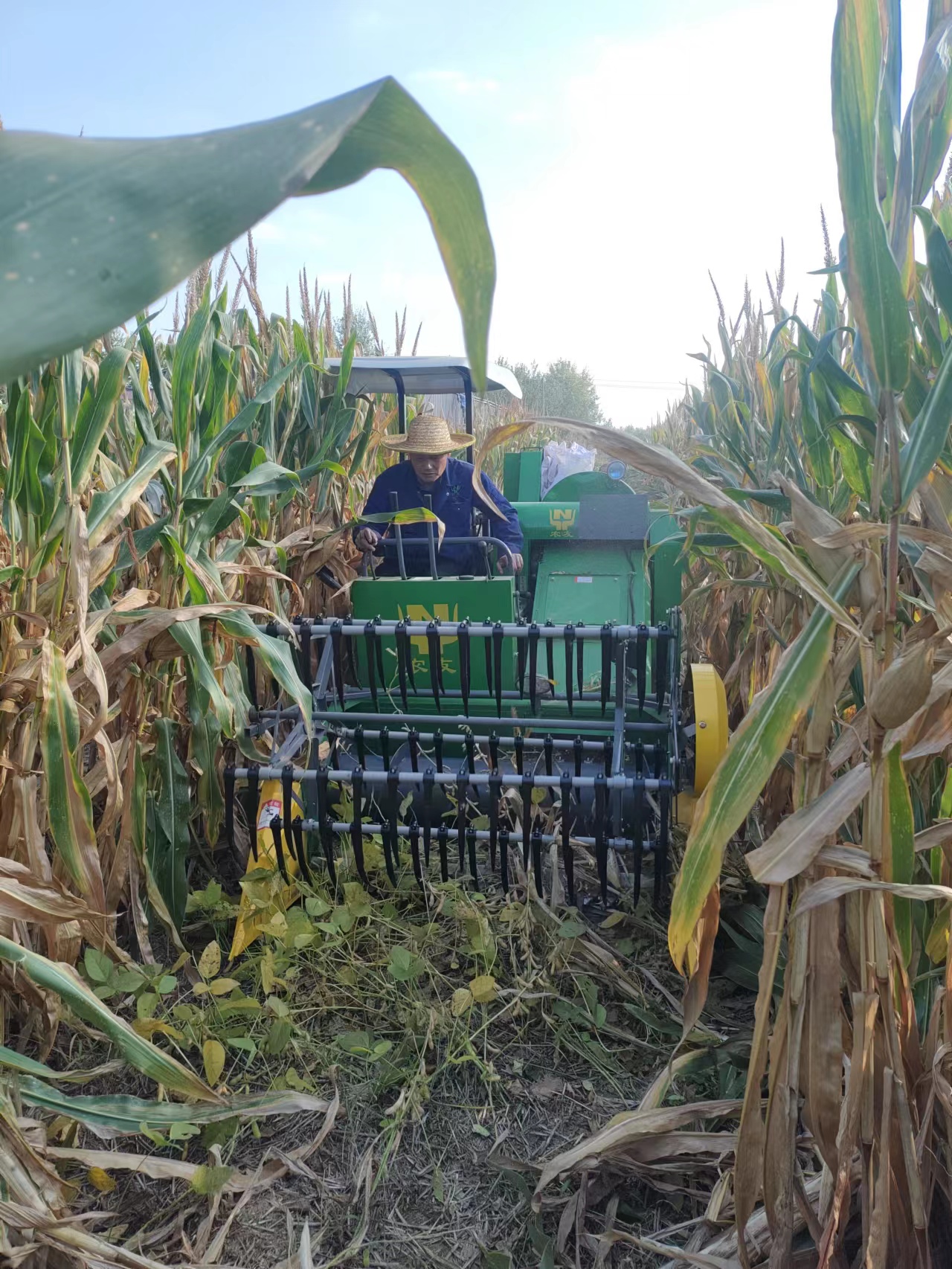 4d7950c7-8b4c-45ce-b051-372fb9910453